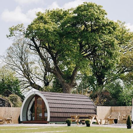North Coast 9 Glamping Capecastle Exterior foto